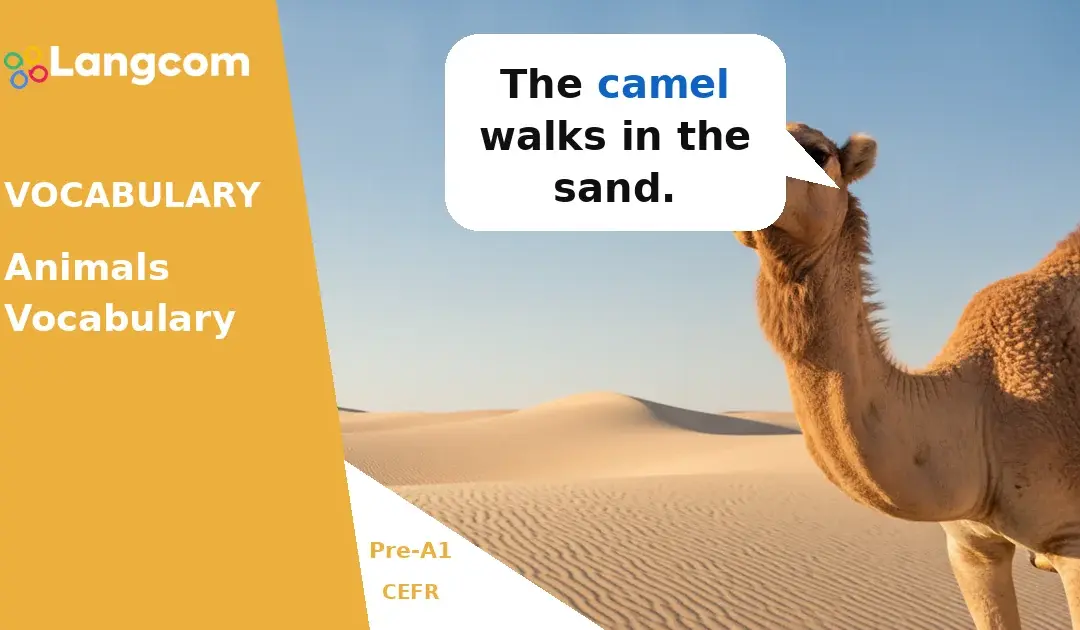Learn Basic Animal Names in English (Pre-A1 Vocabulary)